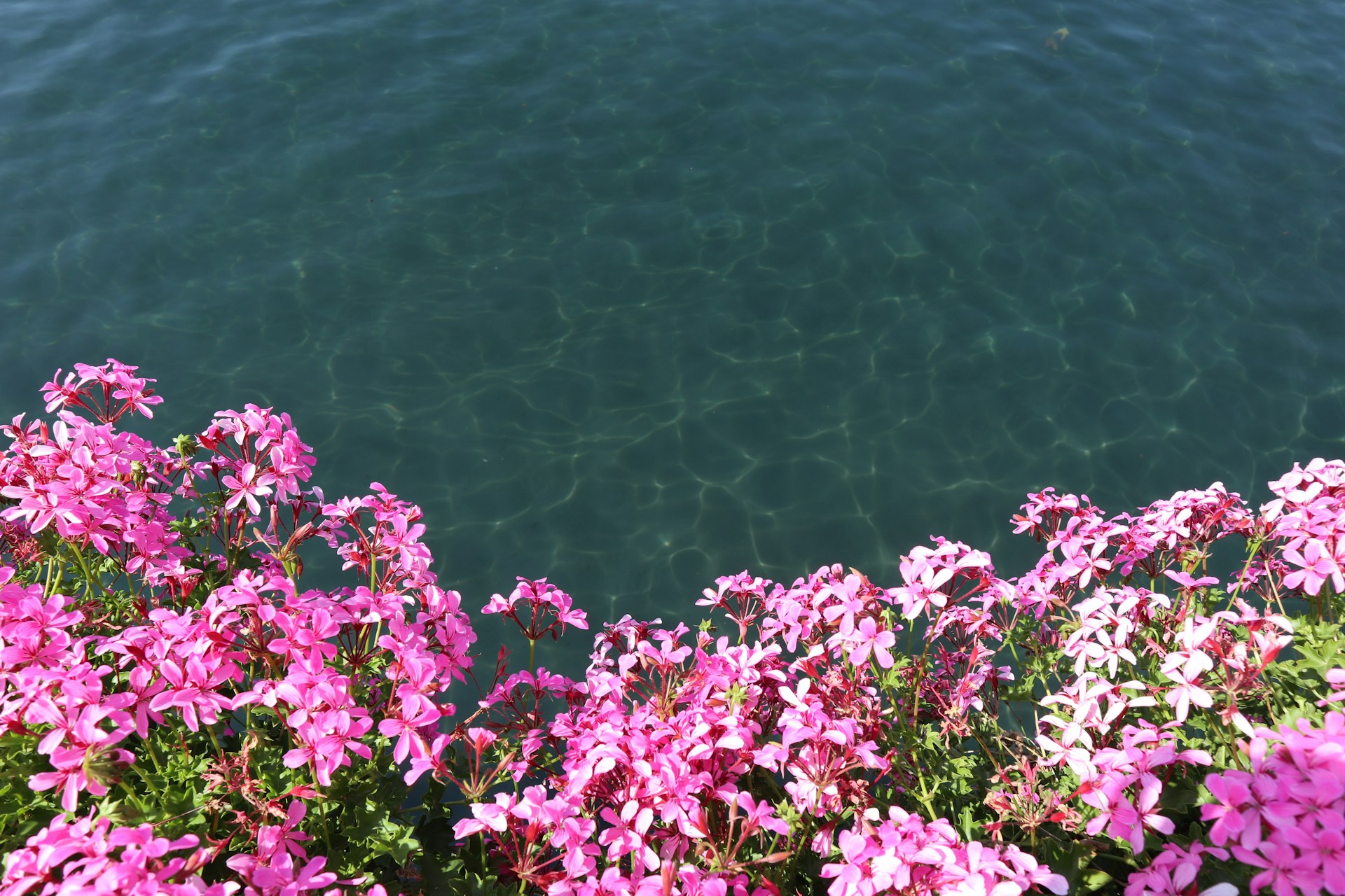 Domerellia retraite en France